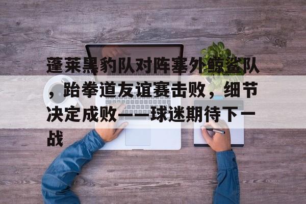 开云- 蓬莱黑豹队对阵塞外鲸鲨队，跆拳道友谊赛击败，细节决定成败——球迷期待下一战